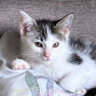 Krümel + Elfi