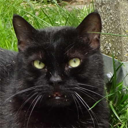 Esko