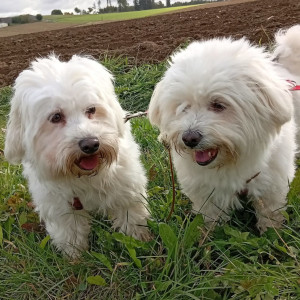 Finie + Coco