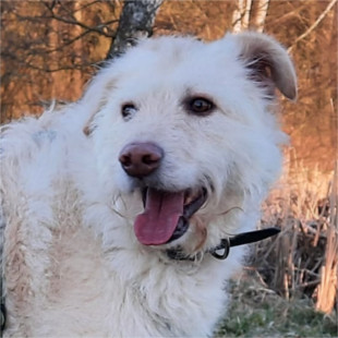 Jack – reserviert