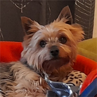Kasper
