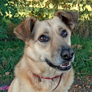 Lila