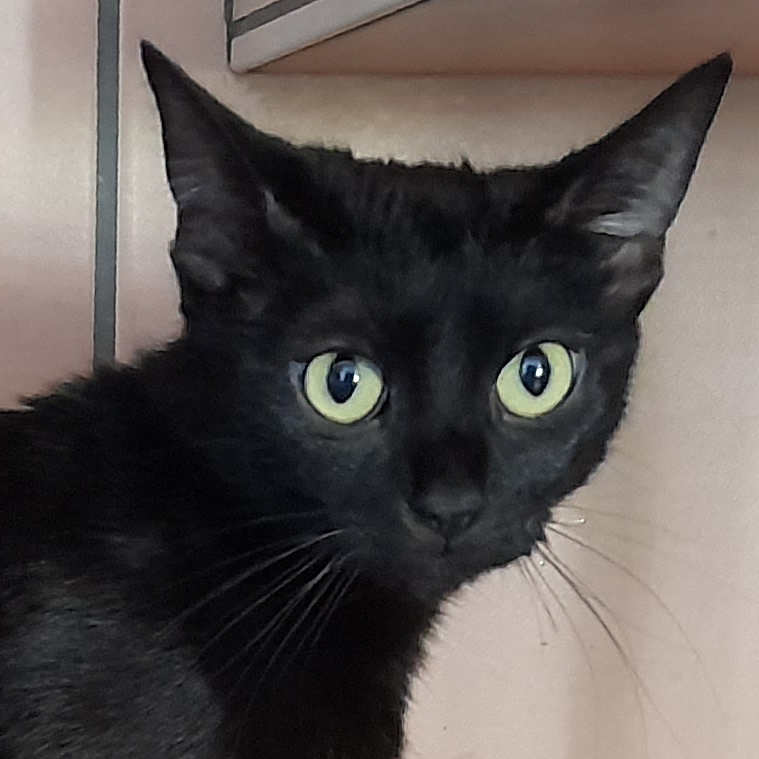Luna