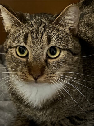 Mati