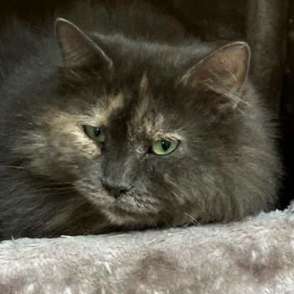 Matilda