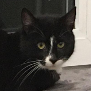 Max