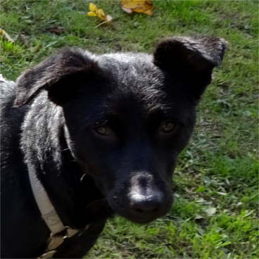 Mimi