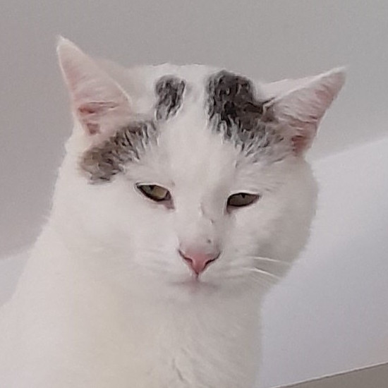 Pünktchen