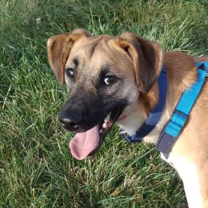 Ranger